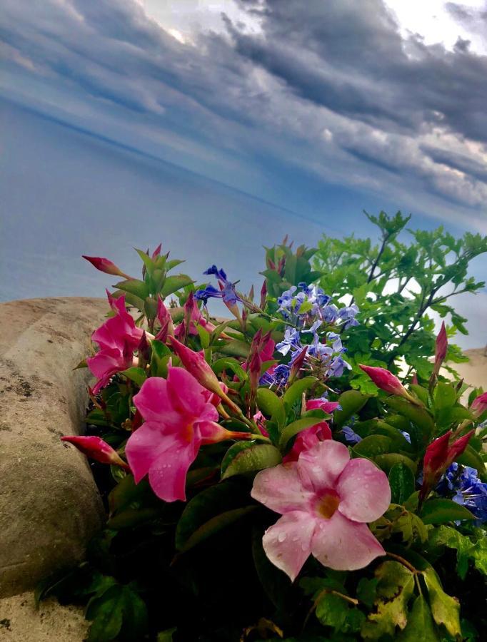 スカラ Sky House Amalfi Coastヴィラ エクステリア 写真